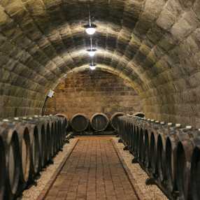 211028 DF Béres 378